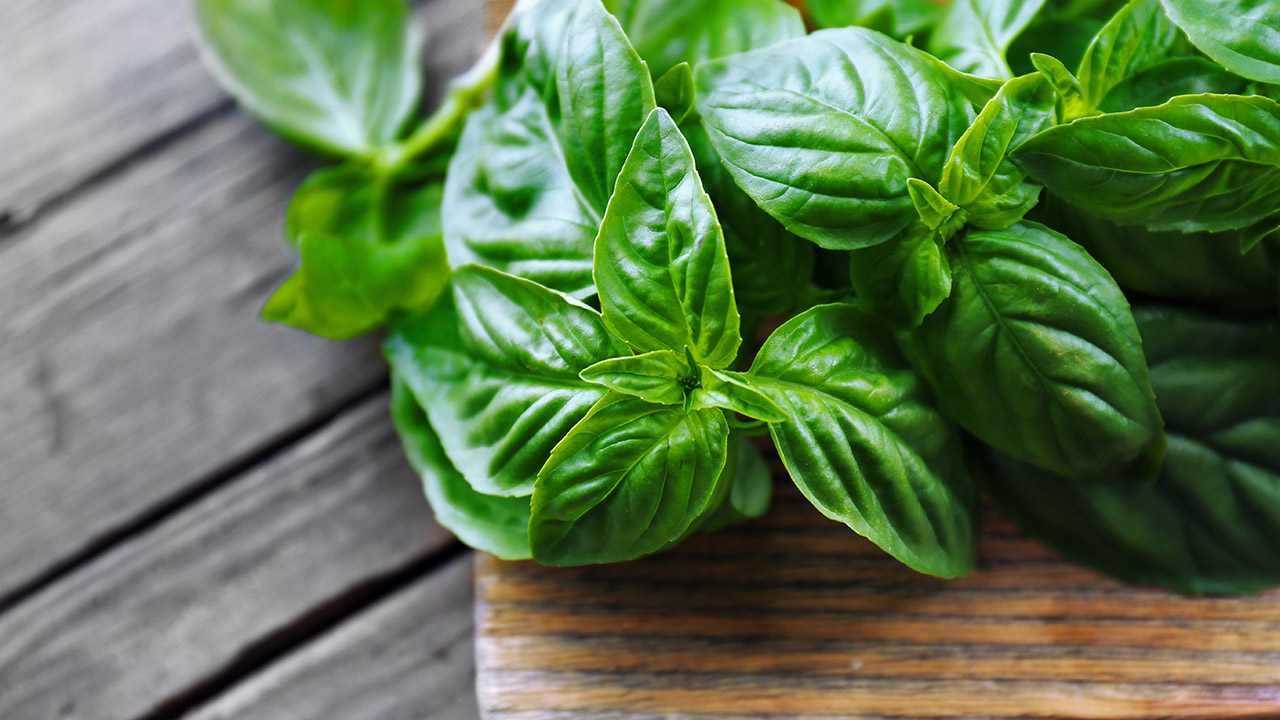 10-natural-remedies-to-keep-bugs-and-pests-basil