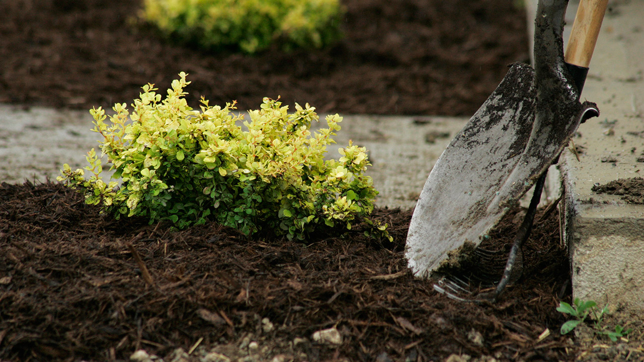 7-reasons-to-add-mulch-to-your-landscaping-featured