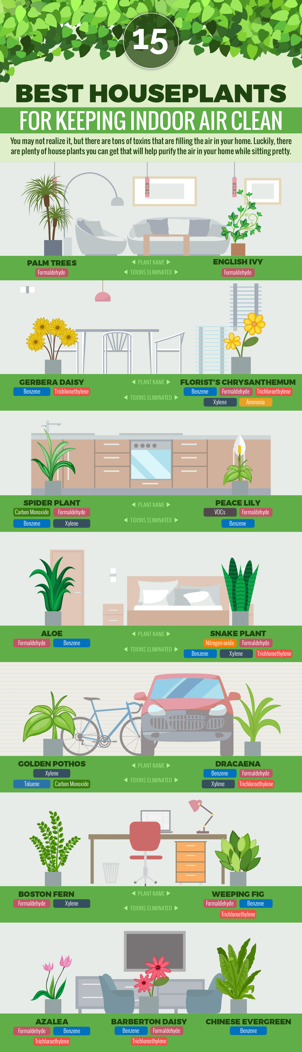 infographic-15-best-houseplants-for-keeping-indoor-air-clean-article